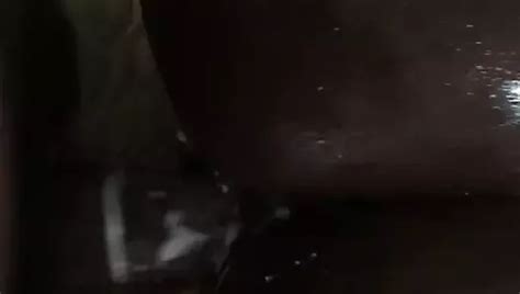 Free Dark Skin Porn Videos 4 XHamster