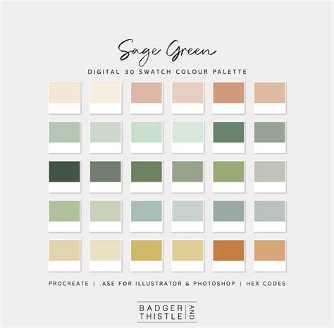 Sage Green Digital Colour Palette Swatches Download Procreate Photoshop ...