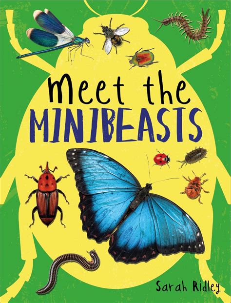 Meet The Minibeasts By Sarah Ridley Hachette Childrens Uk