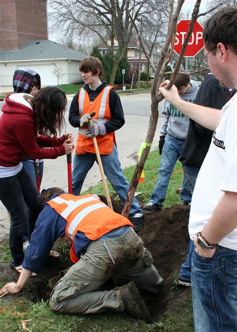 Arbor Day Wikipedia