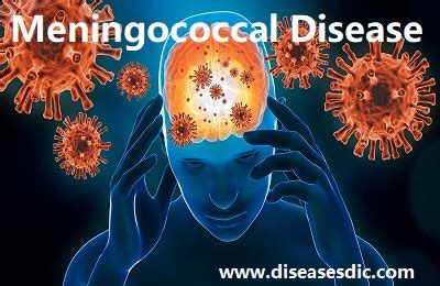 Meningococcal Disease – Signs, Symptoms, and Risk factors