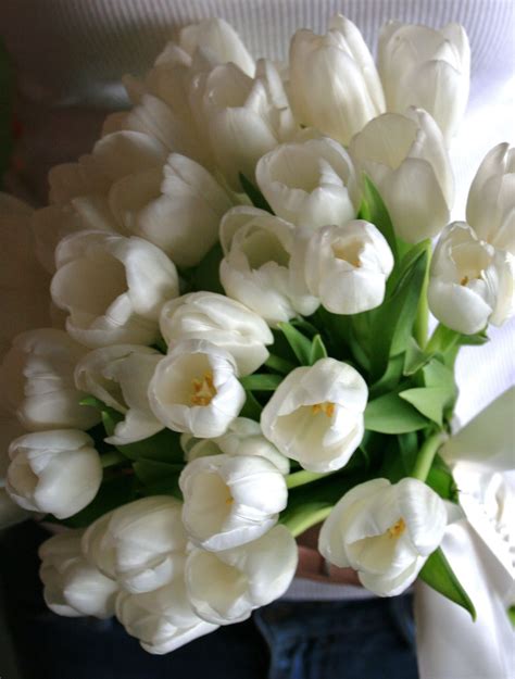 Note Love The Tulips Wedding Flowers Tulips White Tulip Bouquet