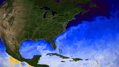 Svs Current Sea Surface Temperatures Rising In The Gulf Of Mexico