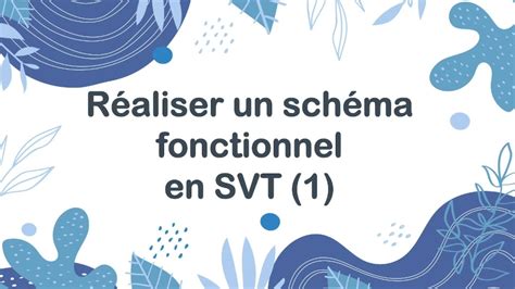 Comment R Aliser Un Sch Ma Fonctionnel En Svt Youtube