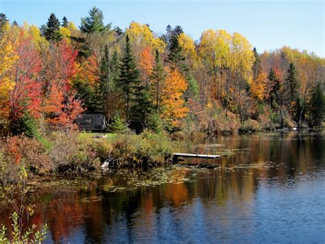 L automne à Saint Calixte Saint Calixte Québec Canada Flickr