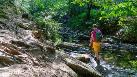 Wandelen In De Ardennen Dit Zijn De Mooiste Wandelroutes Travelaar