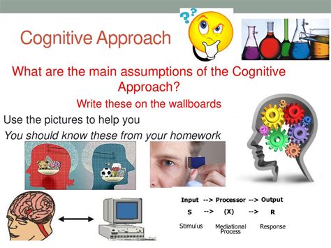 Cognitive Approach What Are The Main Assumptions Of The Cognitive