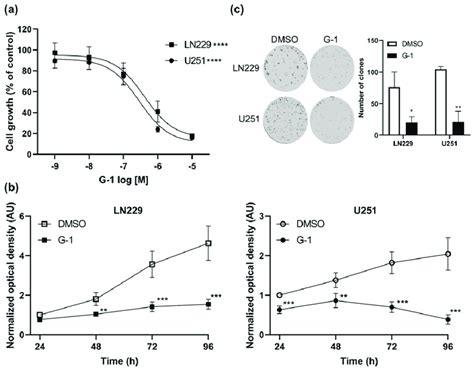 G 1 Had Cytostatic Properties On Gbm Cells A Ln229 And U251 Cells