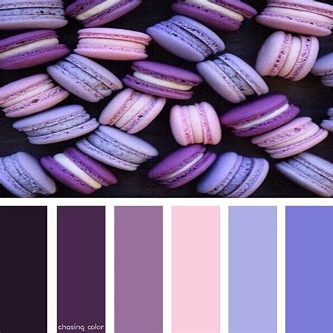 Shades Of Purple Macarons Photo Credit • Chasingcolor Colorthemes