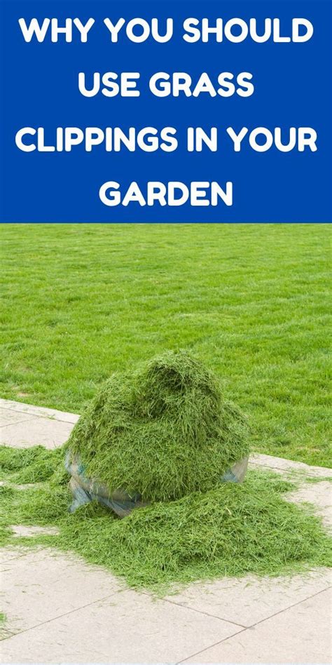 Why You Should Use Grass Clippings In Your Garden Grass Clippings