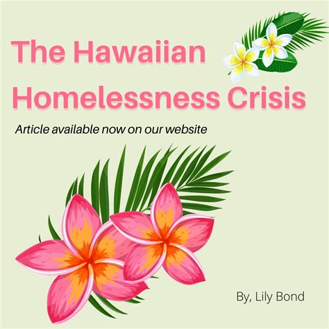 The Hawaiian Homelessness Crisis The Homemore Project