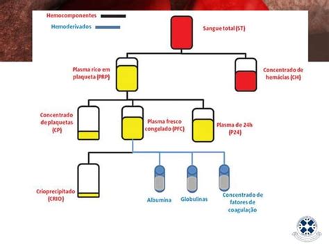 Transfusion Y Hemoderivados Ppt