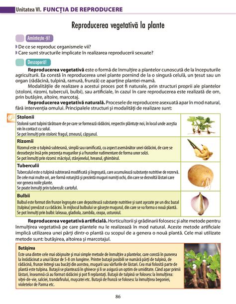 Biologie Pentru Clasa A Vii A A Pdf Pag