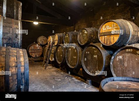 Aging Process Of Cognac Spirit In Old Dark French Oak Barrels In Cellar