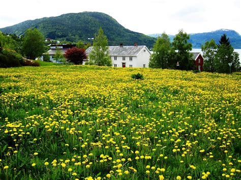 Spring in Norway - Explore Norway!