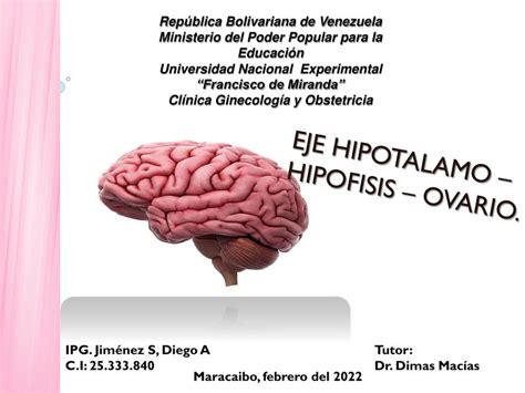 Eje Hipot Lamo Hip Fisis Ovario Fernanda Pirona Udocz