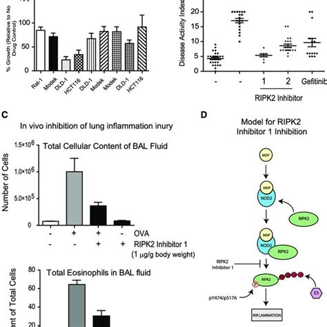 Ripk Inhibition Of Nfkb Activity A And B Nfkb Gene Reporter Assay