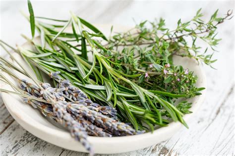 10 Culinary Herbs You Need To Grow And Dry This Summer Hubpages