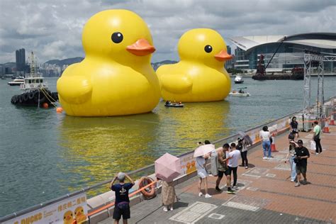 Double Trouble Rubber Ducks Come Back To Hong Kong Waters