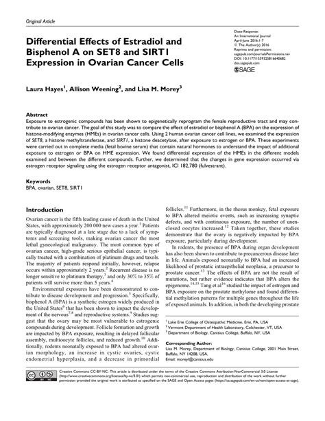 Pdf Differential Effects Of Estradiol And Bisphenol A On Set8 And