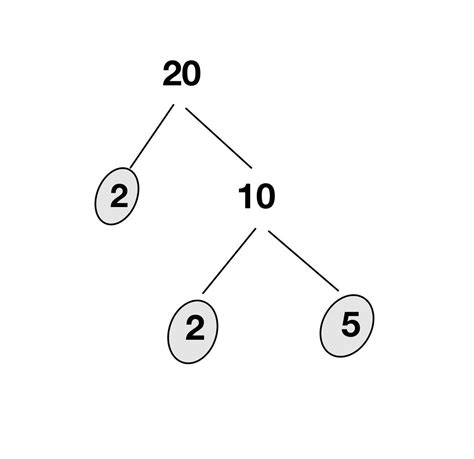 Write The Prime Factorization Of Each Number 20 Quizlet