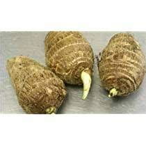 Cocoyam Bulbils: Economic Importance, Uses, and By-Products - Agric4Profits