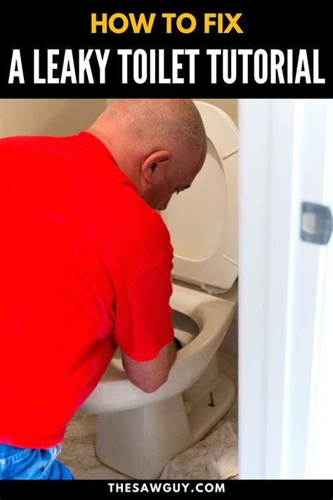 How to repair a leaky toilet base – simple fixes for the diy’er the saw ...