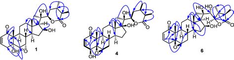 Figure 2 From Cytotoxic And Other Withanolides From Aeroponically Grown