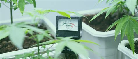 Top 15 growing equipment must-haves for weed growers - CannaConnection