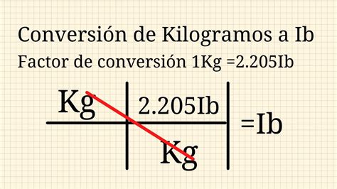 Conversi N De Kilogramos A Libras Lorena Garc A Youtube