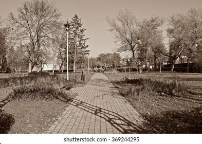 park  photo stock photo  shutterstock