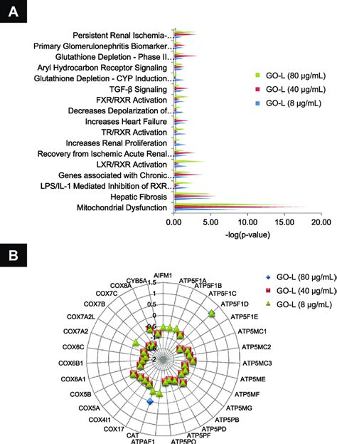 Ipa Analysis Of Rna Sequencing Data Reveals Mitochondrial Dysfunction Download Scientific