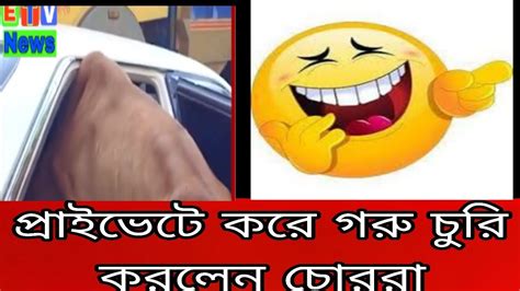 এই প্রথম গাড়িতে করে গরু চুরি করলেন চোররা 🤣😂🤣banglanews Bdnews Youtube