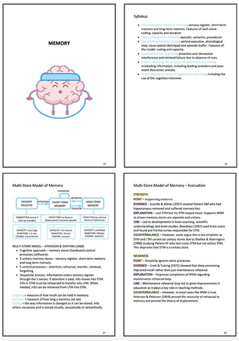 Aqa Psychology A Level Paper 1 Notes Etsy