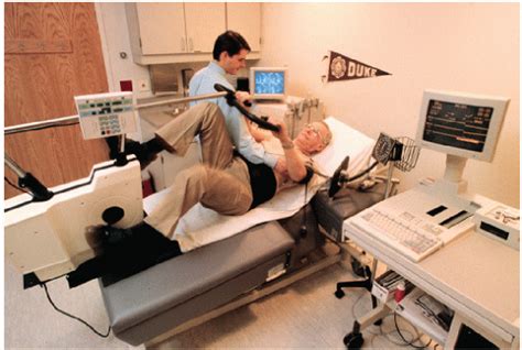 Stress Echocardiography | Thoracic Key