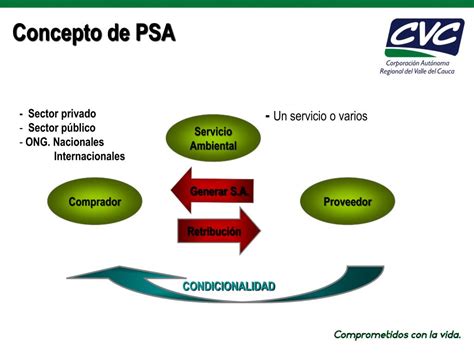 PPT COMPENSACIÓN O PAGO POR SERVICIOS AMBIENTALES CSA o PSA