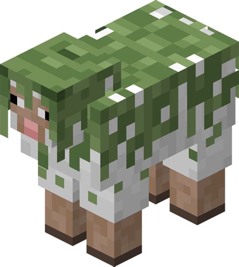 Earth:Entangled Sheep – Minecraft Wiki