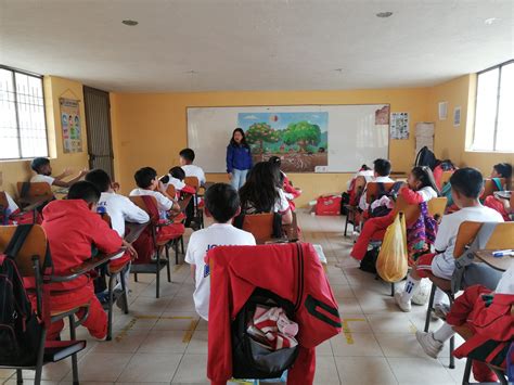 Quintos De Ie San Luis Gonzaga Sede San Juan Bosco Mis Amigos Los Rboles