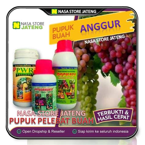 Jual Paket Pupuk Perangsang Bunga Dan Pelebat Buah ANGGUR Tabulampot