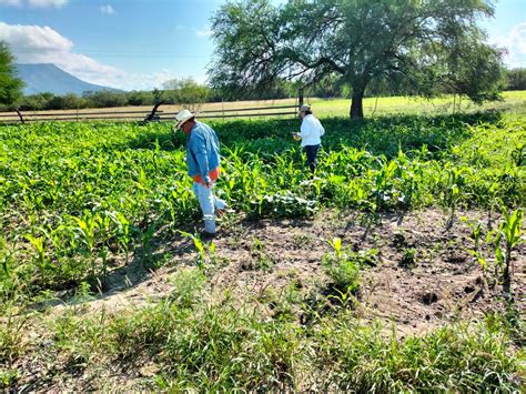 Agricultura Coahuila on Twitter La agricultura es la profesión