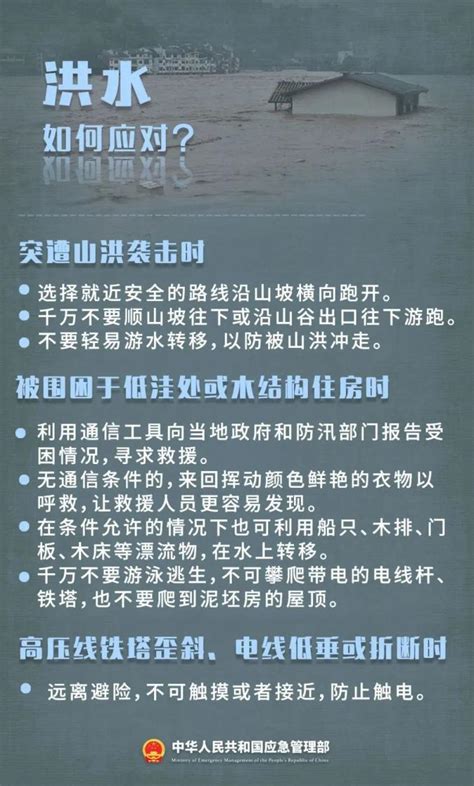 应急科普 四预警齐发！极端天气应对手册，关键时刻能救命！ 澎湃号·政务 澎湃新闻 The Paper