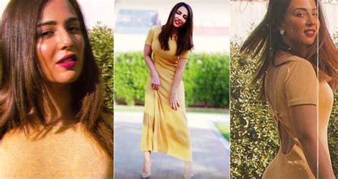 Netizen Showing Displeasure Over Ushna Shah S Latest Pictures Showbiz