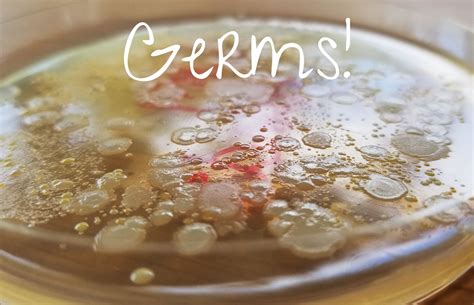 Let's Talk About Germs - Rush & Ramble