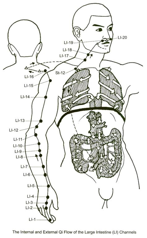 Large Intestine Meridian Accupuncture Acupressure Acupressure Treatment