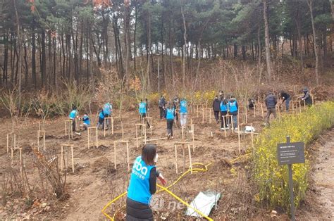 마포구 서울산업진흥원과 함께 ‘미세먼지 저감숲 조성 뉴스에이