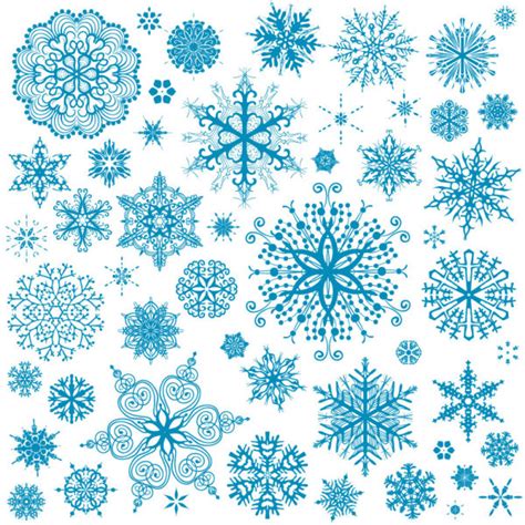 Different Snowflake patterns design elements vector 03 free download