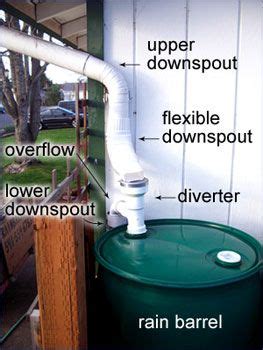 DIY Rain Barrel Installation Made Easy