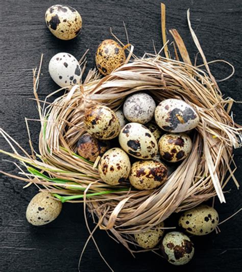 Important Health Benefits Of Quail Egg Nutrition And Side Effects