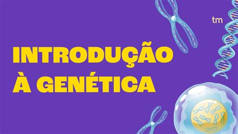 Introdução à GENÉTICA O Que os Genes Dizem Sobre Nós YouTube