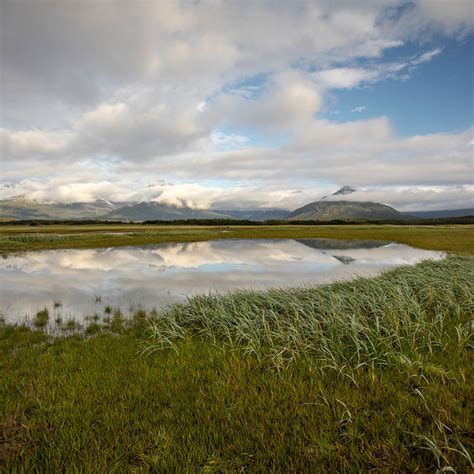 Katmai National Park & Preserve | Wildlife and Wild Lands